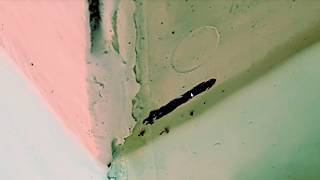 Sakura Solid marker Review after 9 Month in the Chlorinate Pool Profile