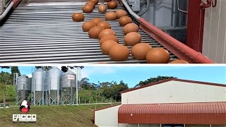 Facco Turnkey Project Costa Rica- Facco Poultry Equipment