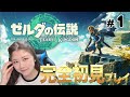 新作「ゼルダの伝説ティアーズオブザキングダム」発売日にプレイしていく🔥🔥完全初見！！