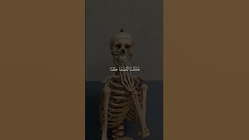 وَلَقَدْ خَلَقْنَا الْإِنسَانَ مِن سُلَالَةٍ مِّن طِينٍ || ياسر الدوسري 🤍#ياسر_الدوسري #تلاوة_خاشعة