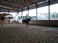 Jumping lesson