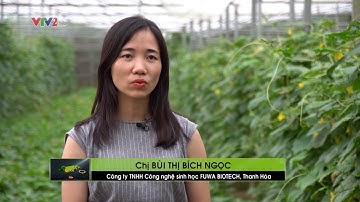 #FUWA3E #VTV2 #VTC #TTV Sản Phẩm lên men từ vỏ dứa, vì sức khỏe cộng đồng và môi trường xanh.