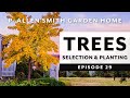 Selecting a Tree to Purchase | Fall Tree Planting: P. Allen Smith