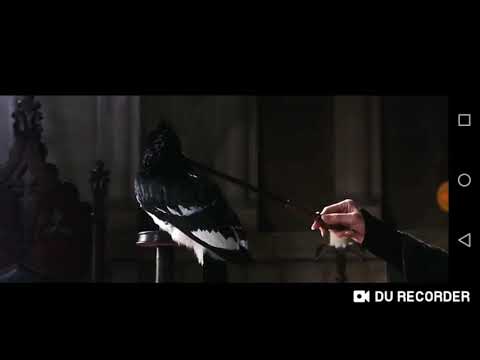 La profesora McGonagall explica la creación de Hogwarts y la cámara secreta (Español latino)