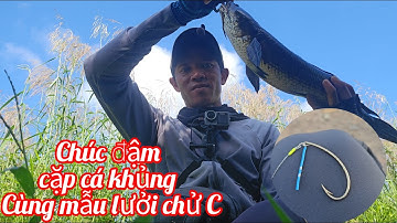 Câu cá lóc..về phước lại chúng đậm cặp cá Quá khủng cùng mẫu lưởi chử C