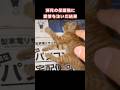 瀕死の保護猫に愛情を注いだ結果...#shorts #猫 #子猫