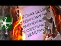 ИП или ООО? НПД, Патент, УСН или ОСНО? НДС - что это? Что лучше для перевозок грузов?