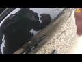 Beginning of video