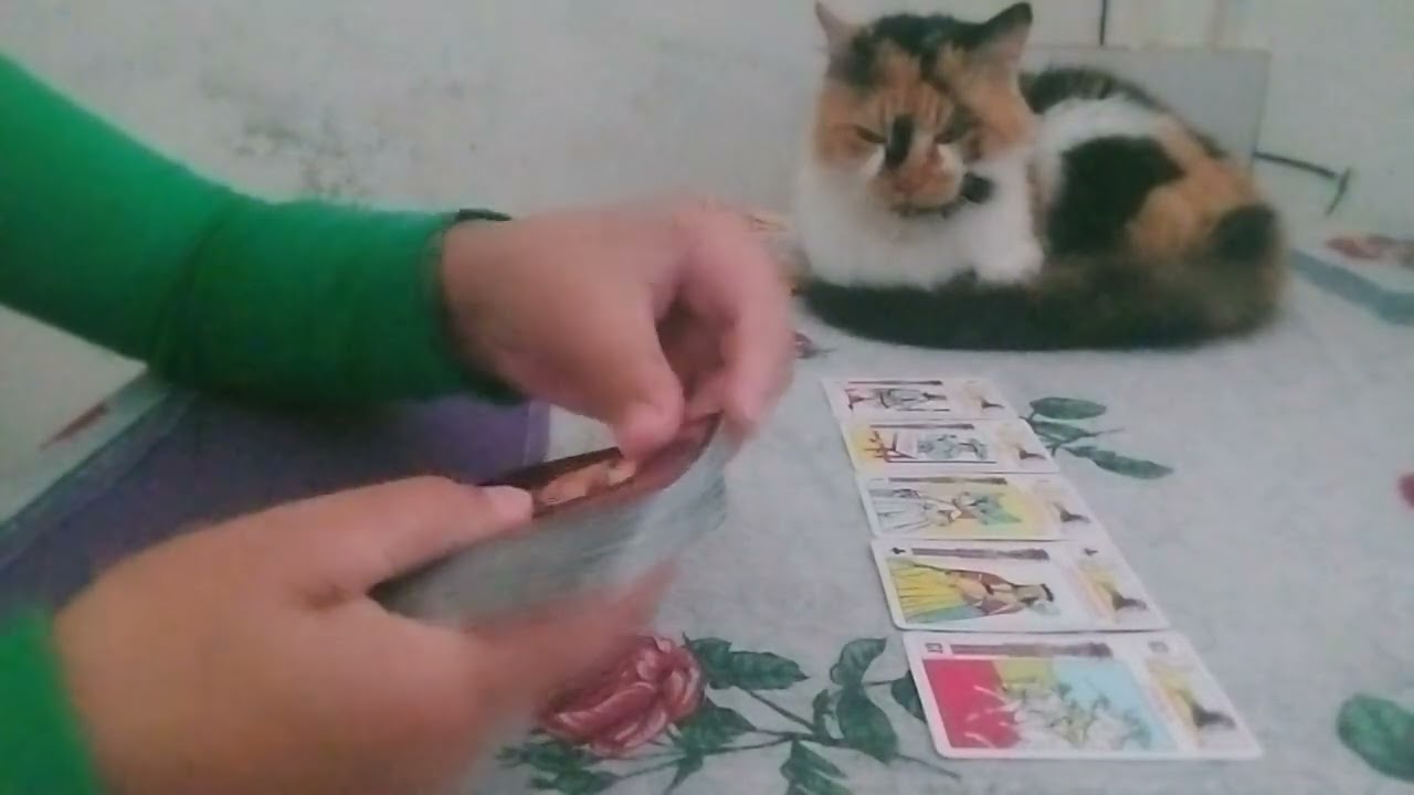 Virgem: Sol, Lua, Asc e Vênus.