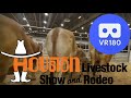 Bovines in 3D at the 2020 Houston Livestock Show, VR180, NRG Center - Houston, Texas
