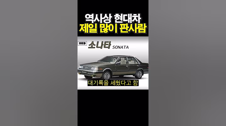 역사상 현대차 제일 많이 판사람? #썰 #유머 #사회이슈