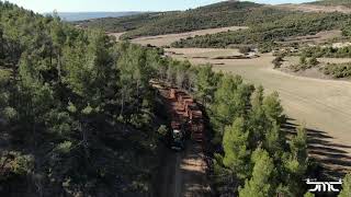 ACLAREO EN MONTE DE CÁSEDA (NAVARRA)