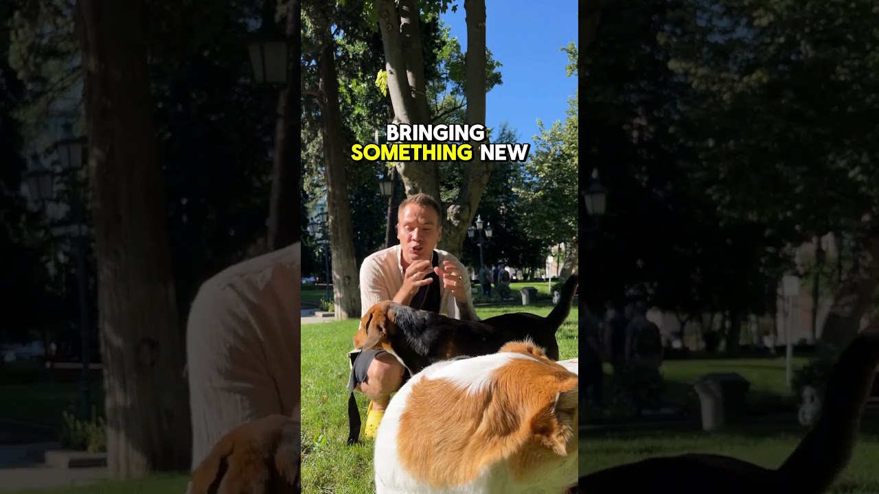 The most creative people by date of birth 