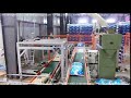 Conveying  robot palletizing 02