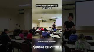 Anatomical Position and Anatomical Direction: Video #1 of Introduction to Functional Anatomy