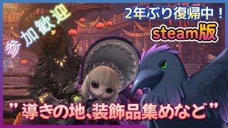 【MHW:I】導きの地周回、装飾品集め！【参加歓迎】