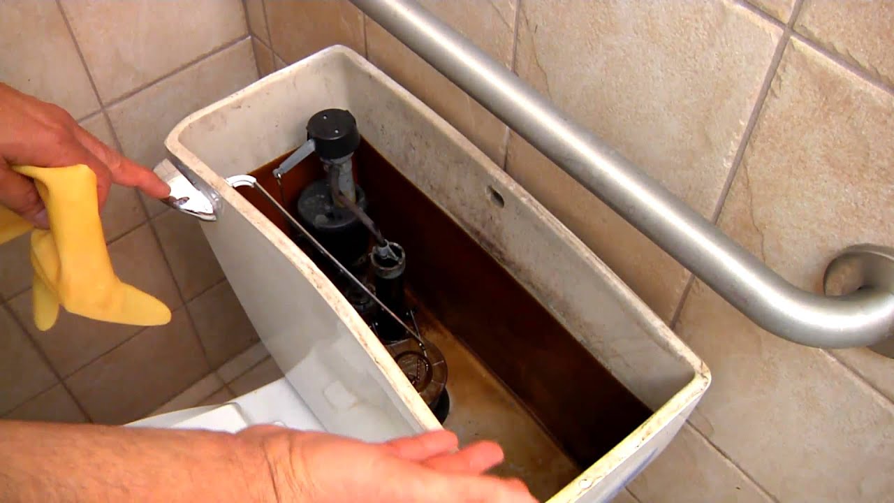Musty Toilet Smell Plumbing Tips