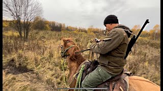 Выехали на лошадях искать в глубоком лесу табун сбежавших башкирских лошадей/ КФХ Хасана Идиятуллина