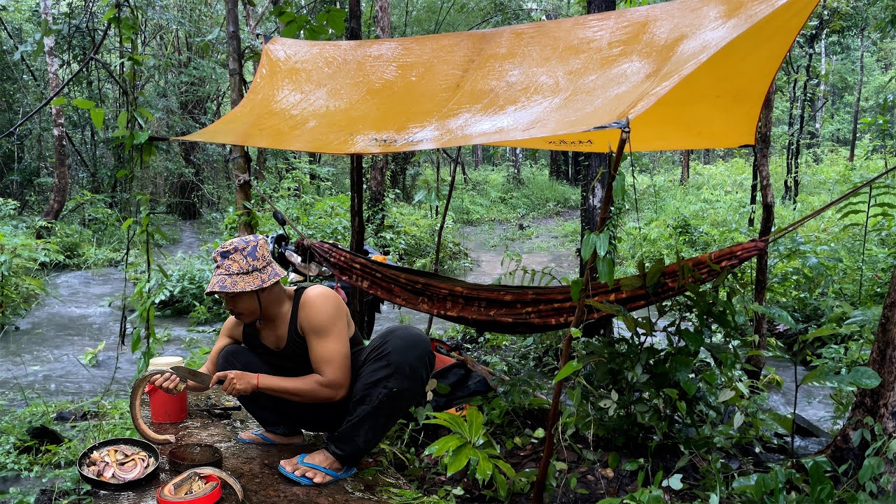 Heavy Rain Camping 🌧️ Cooking Eel in the Wild