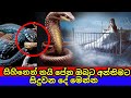 ස හ න න නය ප නවනම ම න න ඔබට ස ද වන ද Sihina Palapala