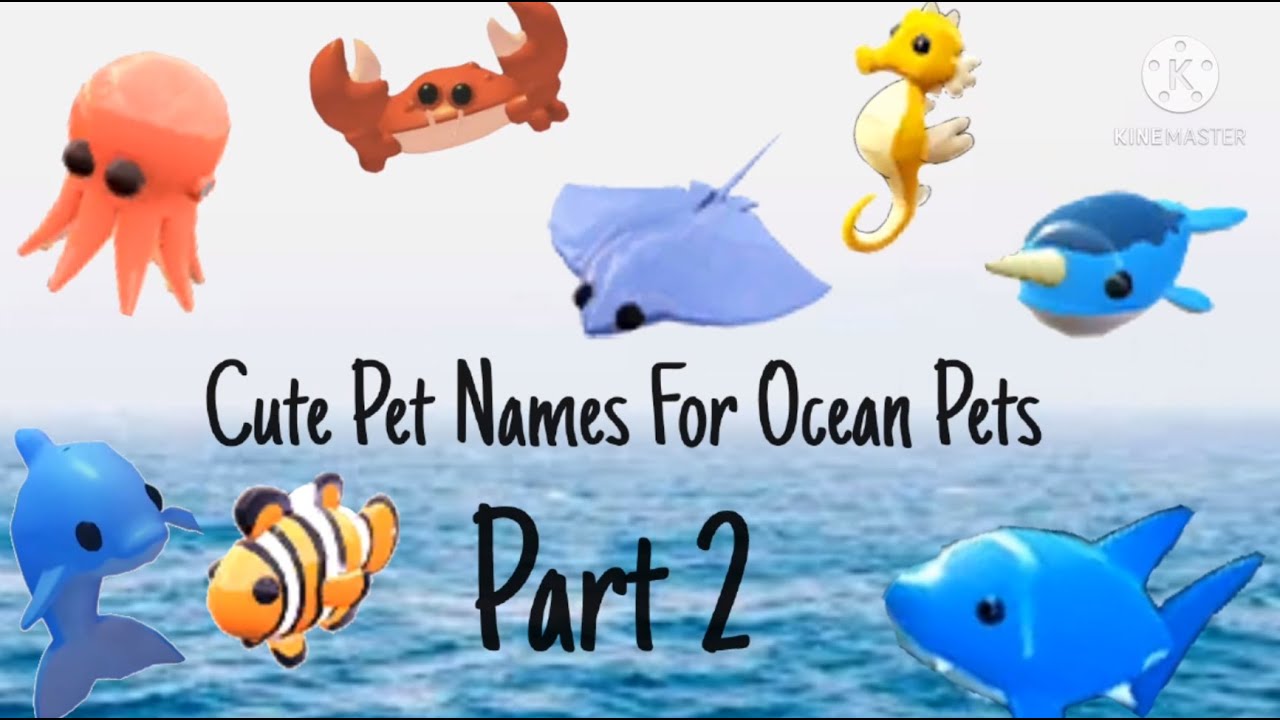 Pet name for ocean
