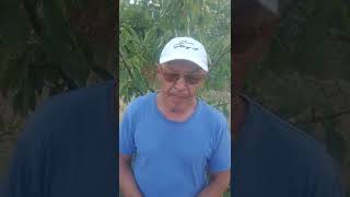 картинка: Алымбек датка уулу Камчыбектин дарга асылды  карышкыр эле Камчыбек өлүмдү карышкырча күтүп алды