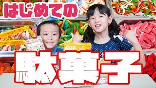 初めて見る食べる！お菓子をさがしてみました