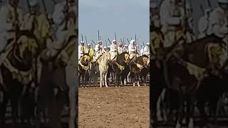 لقطاط من مهرجان الفروسية