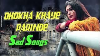 धोखा खाये परिंदे | DHOKHA KHAYE PARINDE | AJESH KUMAR | NEW HARYANVI SONG 2025 | NEW SAD SONG 2025