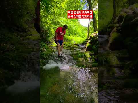여름 별천지 <strong>도깨비집</strong> 근처 산게울 발시려