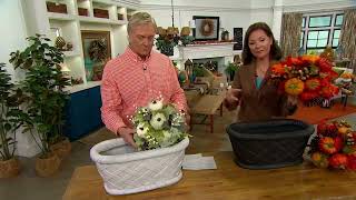 Pumpkin, Berry and Maple Leaf Urn Filler by Valerie on QVC screenshot 2