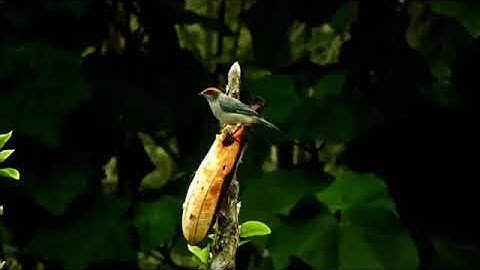 أذكار الصباح و المساء،🌿بدون حقوق طبع ونشر ،🌿💕