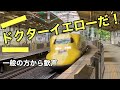 【突然の出来事に歓声!】ドクターイエローだ!!!(東海道新幹線熱海駅にて、突然ドクターイエロー現る)