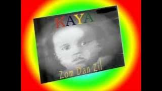 la rézon (live)-  Kaya ek racine tatane.