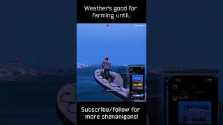 The Royal Roleplay Shenanigans: Nice weather...?