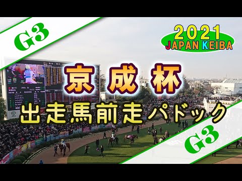 【競馬パドック】京成杯（2021年）前走パドック