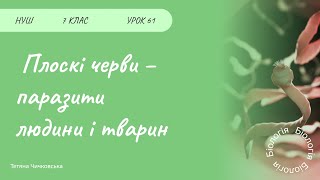 картинка: Плоскі черви – паразити людини і тварин
