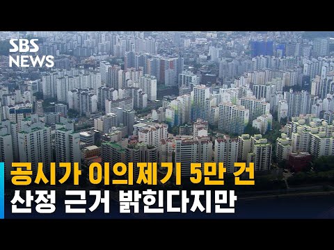 공시가 이의제기 5만 건…산정 근거 밝힌다지만 / SBS