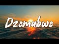 Winky D ft Shingai-Dzimba Dzemabwe (Official Lyrics)