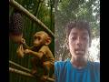 Ai monkey sad video #funny #sad #aivideo #trending #shortsfeed #baby #funny #बंदर