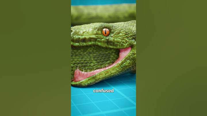 Some Snakes Eat Themselves 😨