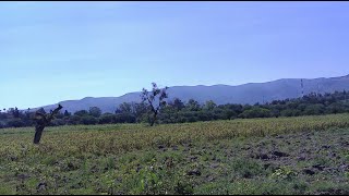 La Presa Allende (panoramic)