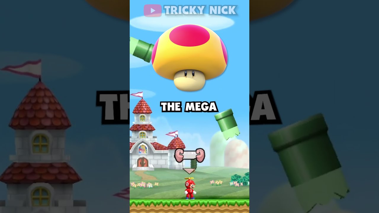 New Super Mario Bros Wii REMOVED This 