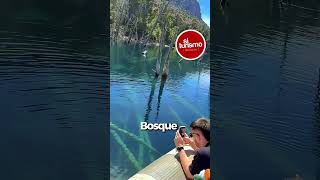 Excursión al bosque sumergido en Villa Traful - ¿Qué hacer en Bariloche?