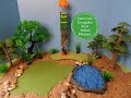 Safari ltd everglades toob animal figure diorama  learn animal names