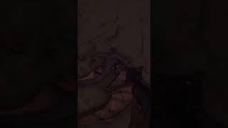 Ark Net Launcher Logic