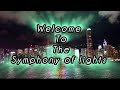 SYMPHONY OF LIGHTS HONG KONG #thisishongkong #symphony #lightshow #light