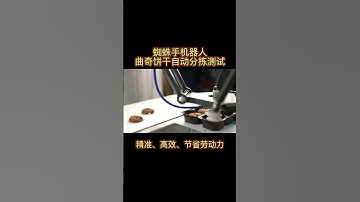 Does the Biscuit could be Orientated Automatically? Higher Efficiency and Sanitary by Delta Robot.