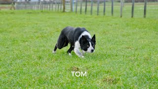 L Conn Tom for Skipton (1st March 24)