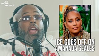 Ice Goes Off On Amanada Seales, She Doesnt Feel Welcomed In Black Spaces